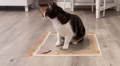 Cómo crear un contorno ilusiorio