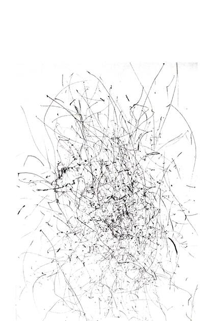 Este registro sobre papel del 29 de septiembre muestra cómo dibuja el viento, con ráfagas de hasta 100 kilómetros por hora, según el trabajo del argentino Germán Bormann