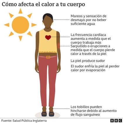 Cómo efecta el calor a tu cuerpo (BBC)