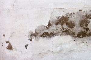 El método económico para terminar con la humedad en las paredes del hogar