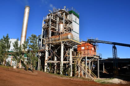 Como en Misiones no hay gas y la energía eléctrica es muy deficiente por los constantes cortes, los Scherer instalaron una planta para producir energía por biomasa con 4MW o la capacidad para una localidad de 20.000 personas