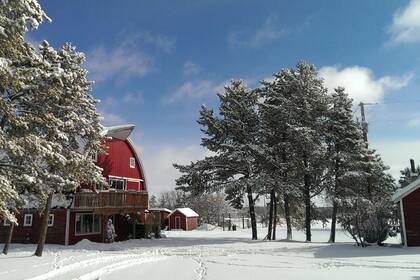 Como en un cuento de hadas: así se sintió Brenda cuando conoció el rancho donde vivía Randy.