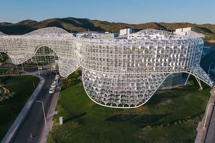 Cómo los hospitales argentinos aplican IA para optimizar resultados