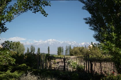 ¿Cómo estará el clima en Mendoza en el tercer fin de semana de enero?