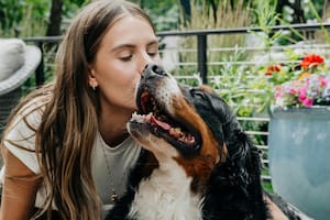 Cómo evitar errores comunes al cuidar a nuestras mascotas