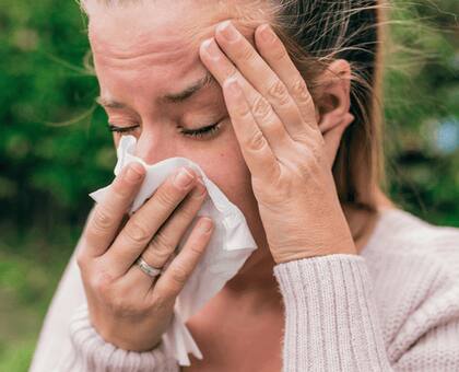 Cómo favorecer la salud