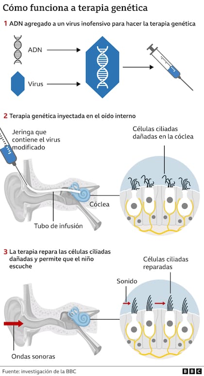 Cómo funciona la tarea genética