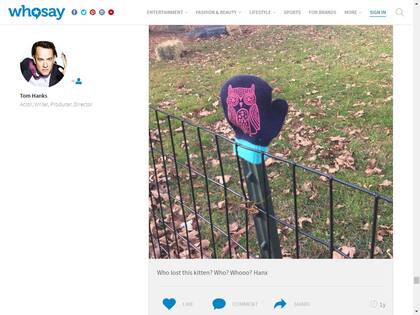 ¿Quién perdió este gatito? ¿Quién?