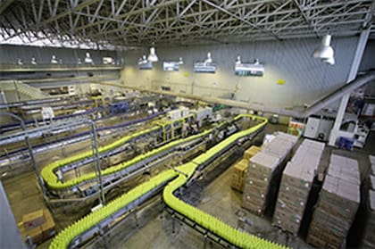 La planta utiliza tecnología europea.