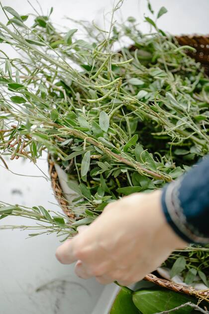 Cómo incoporar hierbas aromáticas a tus preparaciones