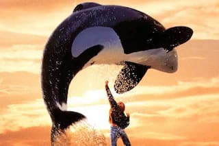 La historia de la orca que protagonizó Liberen a Willy, pero no tuvo el final feliz de la película