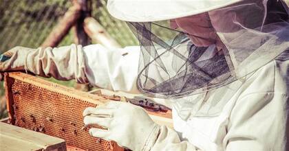 Como la soja es llamada "oro verde", la miel es llamada "oro dulce"