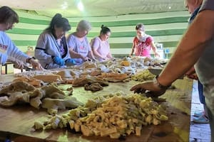 Cómo llegar a Baradero para disfrutar de la Fiesta Nacional del Mondongo y la Torta Frita