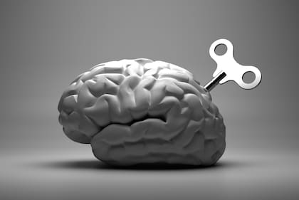 Cómo mantener saludable al cerebro