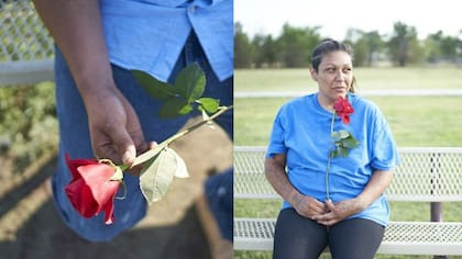 Como no pueden verse, él le dejó una rosa en el lugar donde se declararon su amor