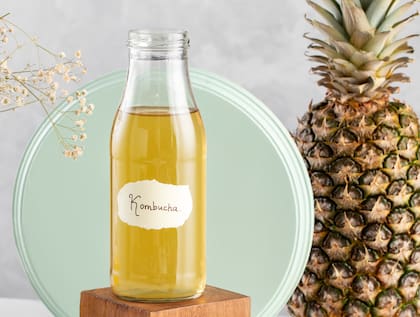 Cómo preparar la kombucha en casa