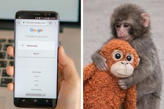 Qué pasa cuando la inteligencia artificial reemplaza a un amigo, psicólogo o pareja, según un experto