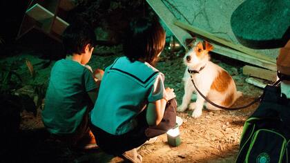 Cómo robar un perro, fábula familiar