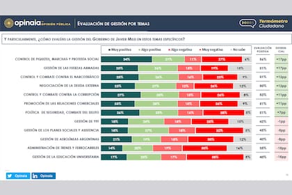 Cómo se evalúa la gestión de Milei por temas específicos (Fuente: Opinaia)