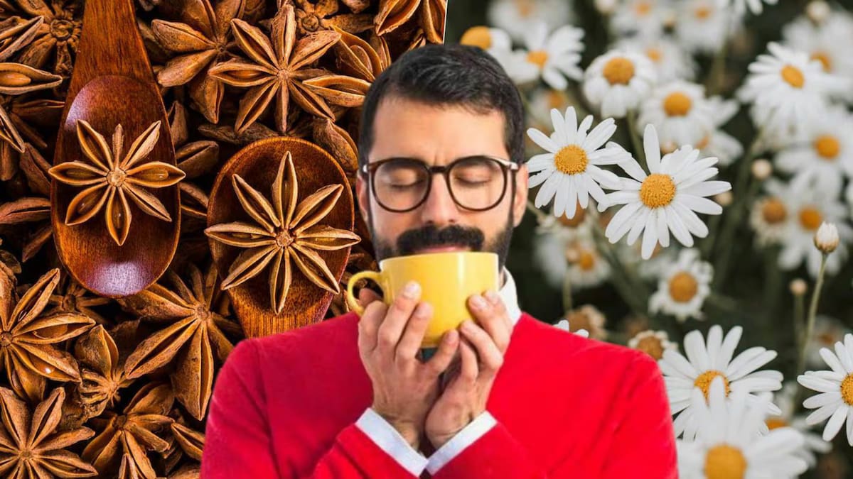 Descubre el Poder del Té de los Dulces Sueños: Beneficios y Preparación para un Descanso Profundo