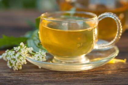 Cómo se prepara el té de los dulces sueños y cuáles son sus beneficios para la salud y el descanso