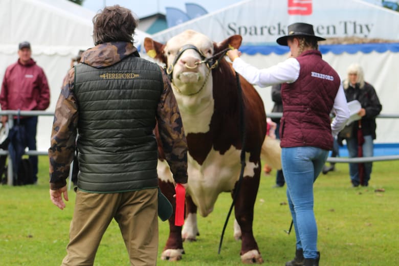 Un argentino instaló la primera cabaña ganadera nacional en Europa y exporta genética a más de diez países