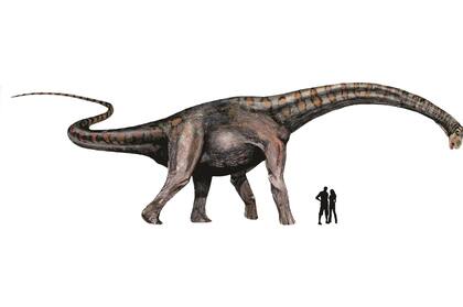 Cómo son los "Colossosaurios", la nueva familia de dinosaurios hallada por argentinos