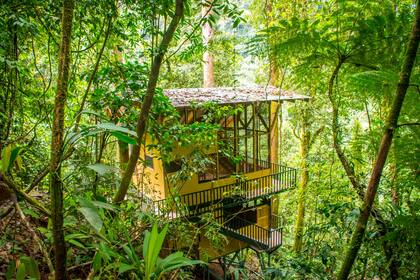 Como Tarzan, en la selva. Pero en Costa Rica.