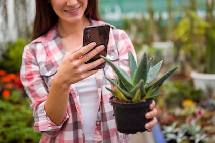 Cómo tener mejores hábitos del uso de teléfonos celulares