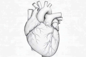 Así de lastimado terminó el cuerpo de Diego Armando Maradona