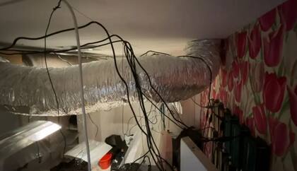 Los delincuentes instalaron en la casa un elaborado sistema de ventilación y cableado para mantener en condiciones óptimas el cultivo