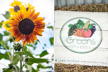 Como una manera de asegurar hortalizas frescas para sus platos, el paso de las estaciones y sus frutos determinan las propuestas que se van ofreciendo en Green City Bell a lo largo del año.