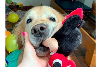 Como una niña, Olivia disfruta jugar con peluches