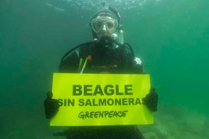"Como ya contaminaron el norte, están avanzando hacia las aguas más prístinas del planeta", aseguran desde la ONG.