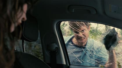 Compañera perfecta.