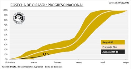 Comparación de la cosecha actual (línea negra) con respecto a la campaña anterior y al promedio histórico.