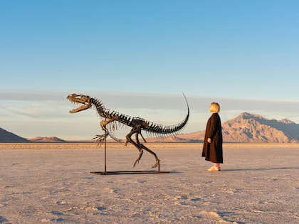 Comparación de tamaño del fósil de Ceratosaurus subastado por 30.5 millones de dólares.