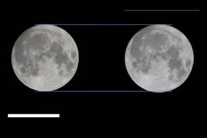 Comparación del tamaño de la Luna en la noche de la superluna del 13 al 14 de noviembre de 2016 (NASA)