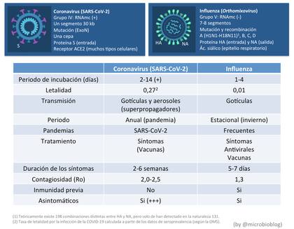 Comparación entre coronavirus e influenza (el virus de la gripe común)