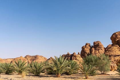 En esta zona desértica también se producen naranjas y limones.