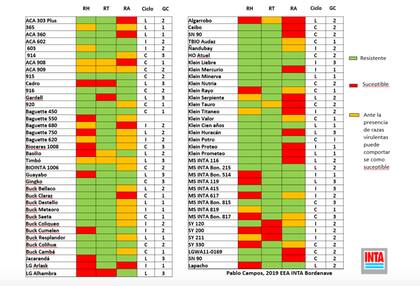 Comportamiento a las tres royas, ciclo y grupo de calidad