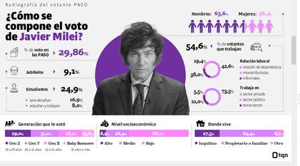 Composición del voto de Milei, según Taquión