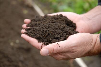 Compost listo para agregar a los canteros.