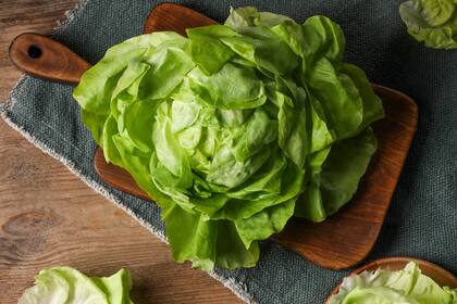 Comprar una planta de lechuga y que a los pocos días las hojas pierdan la frescura es un problema común