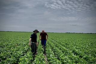 Compras chinas de soja argentina tras supresión impuesto son "una preocupación": cámara molienda argentina