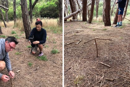 Comprobar el fenómeno de las ramitas que se "imantan" entre sí es un clásico del Bosque Energético de Miramar. Los visitantes prueban hacerlo y siempre se sorprenden.