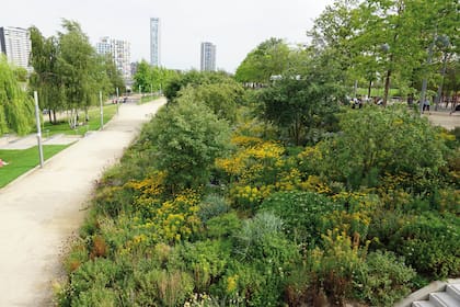 Comunidad densa de plantas creada por James para el Olympic Park.