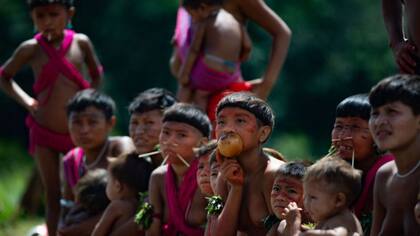 Comunidades en la reserva yanomami enfrentan una situación crítica que genera sospechas de genocidio.