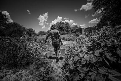 En Teniente Fraga, como en muchas otras comunidades, el agua se recolecta de la lluvia o se saca de lagunas