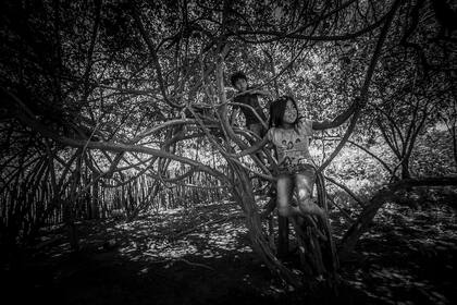 Dos chicos juegan en los árboles de Teniente Fraga